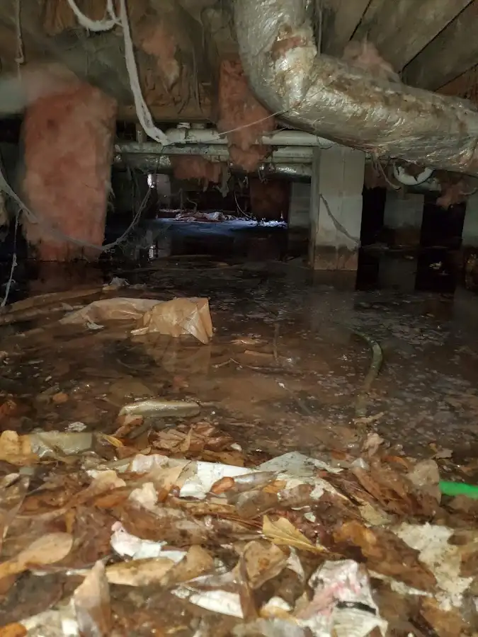 Crawl space flood assessment for Leak Detection & Repair in Lindenhurst